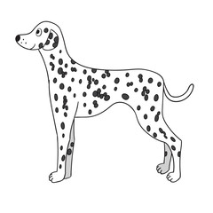 Cute cartoon dalmatian isolated on white background