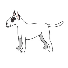 Cute cartoon bullterrier isolated on white background