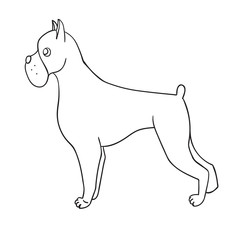 Cute cartoon contour boxer isolated on white background
