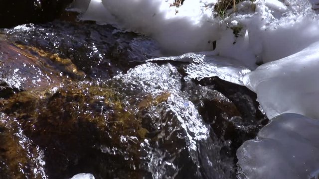 Murmur of a Spring Creek