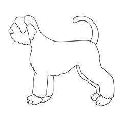 Giant schnauzer contour isolated on white background.