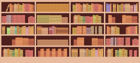 Book Shelves Library Interior
