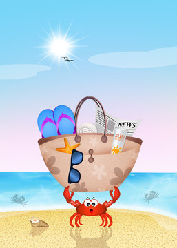 Crab With Beach Bag In Summer