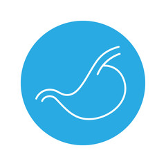 Vector médecine icon