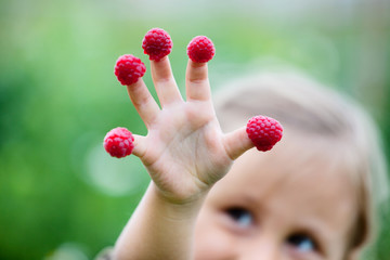 Child's hand with raspberry 