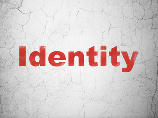 Security concept: Identity on wall background