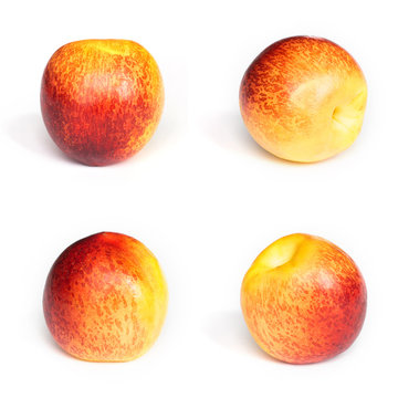 Collection of nectarines