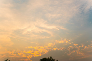 The beautiful twilight sky with top trees - abstract flame shape cloud and colorful twilight sky 
