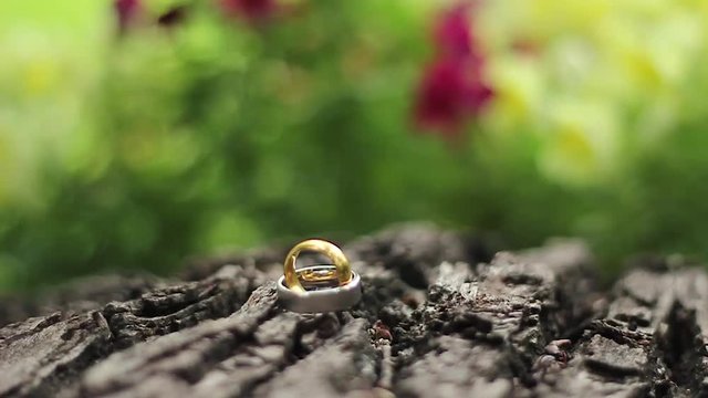 Two wedding rings on wood bark. Flowers background