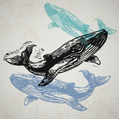 Obraz premium Vector Whale animals in abstract composition.