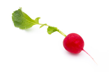 Radish fresh isolated on white background.