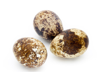 Obraz premium Quail eggs the isolated on a white background.