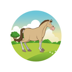 horse cartoon, colorful design