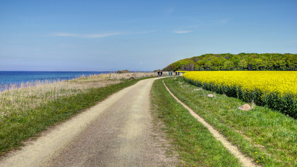Radwandern Ostsee Börgerende