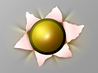 the flower out of bullets