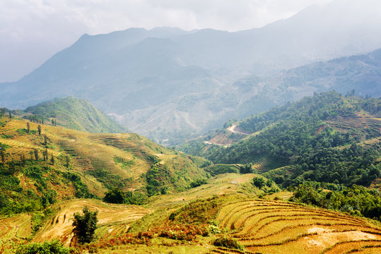 Terraced rice fields at highlands of Sa Pa, Vietnam