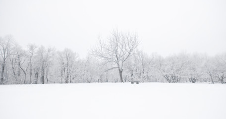 Naklejka premium Nice winter scene