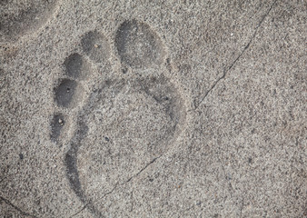 Footprint on Mariahilferstrasse pavement.