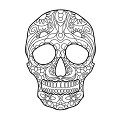 Skull coloring book for adults vector