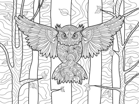 Owl in the forest coloring book for adults vector