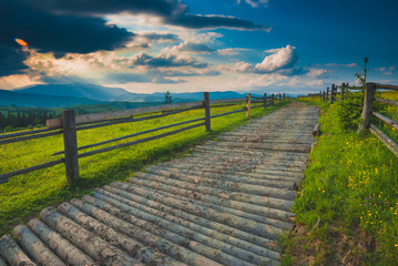 Fototapeta premium Road of logs