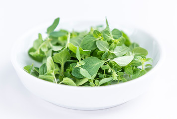 Oregano (over white)