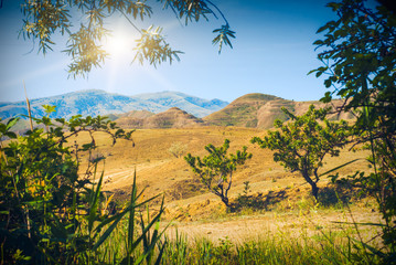 Fototapety na wymiar - Fototapeta24.pl