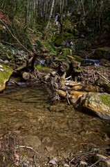 Rivière le Glésy - Chartreuse - Isère.