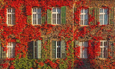 Fototapeta na wymiar Windows at autumn
