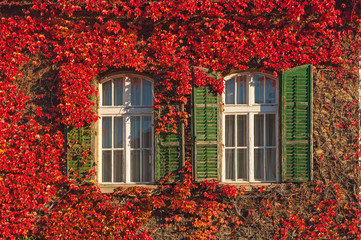 Fototapeta na wymiar Windows at autumn