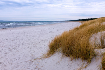 Dune at the Baltic Sea, Ruegen, Germany