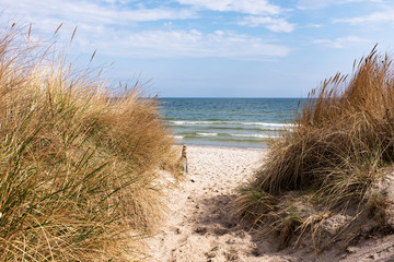 Dune at the Baltic Sea, Ruegen, Germany