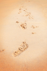 Footprints on the sand