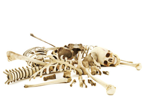 Pile of bones, photo realistic 3d rendering on a isolated white background.