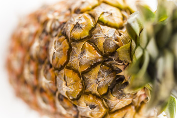 Closeup of Fresh pineapple in Bright Studio