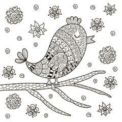 Cute zentangle bird sitting on branch for coloring book