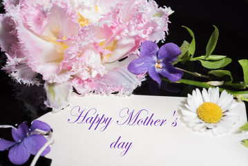 Tulip, violet and daisy with card happy mother's day
