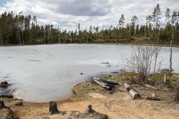Лесное озеро
