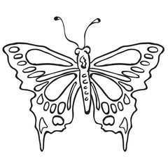 simple black and white butterfly