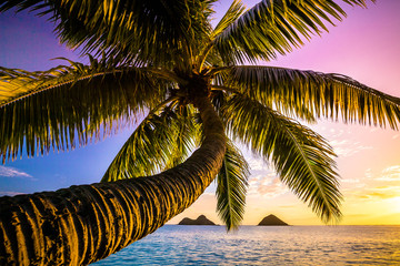 Beautiful Hawaiian Sun Colors over the Pacific Ocean - obrazy, fototapety, plakaty
