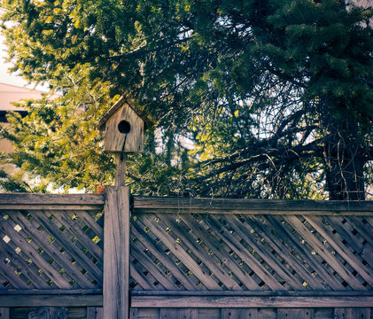 Wooden birdhouse attatched to a fence next to a coniferous tree