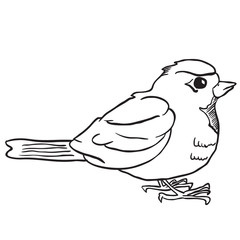 simple black and white robin