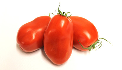 tomates allongées