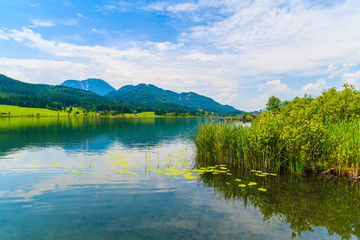 Fototapeta na wymiar Grass on shore of Idyllic Weissensee lake in summer landscape, Carinthia land, Austria