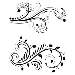 Beautiful floral illustration with swirls