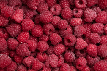 Close-up colorful juicy background from many red raspberries