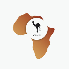 African camel