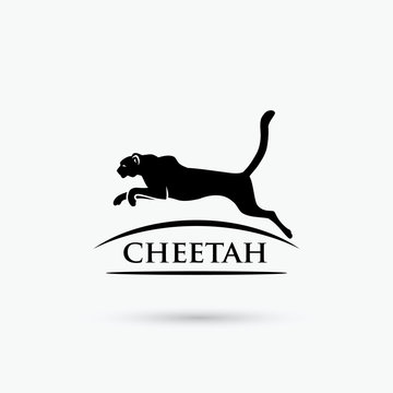 Cheetah symbol
