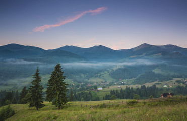 Obraz premium fir trees on meadow between hillsides with conifer forest in fog under the blue sky before sunrise