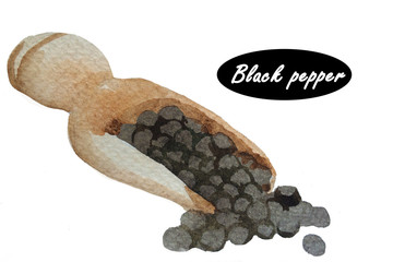 Hand draw watercolor illustration of black pepper